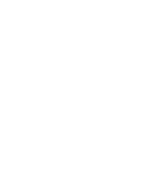 Logo Mago Pedro Bugarín